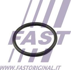 Fast FT49917 - Guarnizione, Termostato autozon.pro