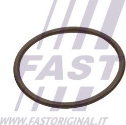 Fast FT49933 - Anello tenuta, Flessibile aria alimentazione autozon.pro