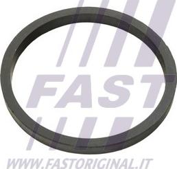 Fast FT49924 - Guarnizione, Radiatore olio autozon.pro