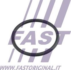 Fast FT49920 - Guarnizione, Condotto d. refrigerante autozon.pro