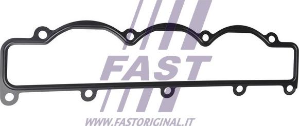 Fast FT49499 - Guarnizione, Collettore aspirazione autozon.pro