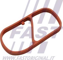 Fast FT49454 - Guarnizione, Collettore aspirazione autozon.pro