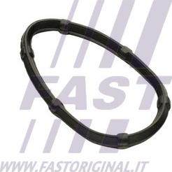 Fast FT49457 - Guarnizione, Collettore gas scarico autozon.pro