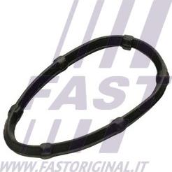 Fast FT49457 - Guarnizione, Collettore gas scarico autozon.pro