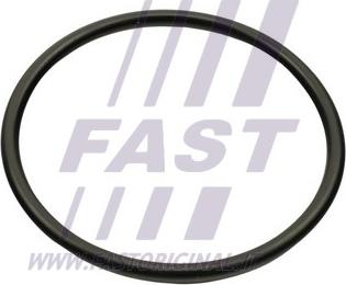 Fast FT49460 - Guarnizione, Collettore aspirazione autozon.pro