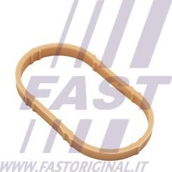 Fast FT49461 - Guarnizione, Collettore aspirazione autozon.pro