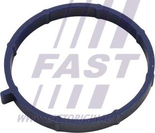 Fast FT49467 - Guarnizione, Collettore aspirazione autozon.pro