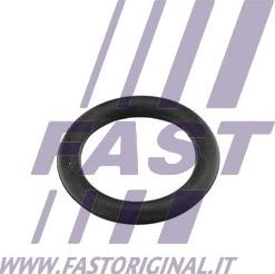 Fast FT49419 - Guarnizione, Collettore aspirazione autozon.pro