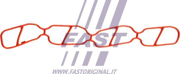 Fast FT49439 - Guarnizione, Collettore aspirazione autozon.pro