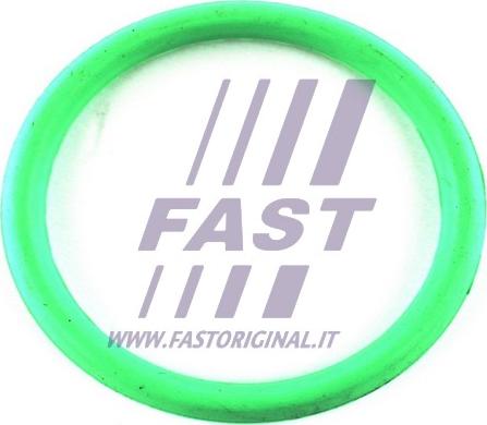 Fast FT49434 - Guarnizione, Collettore aspirazione autozon.pro