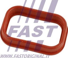 Fast FT49435 - Guarnizione, Collettore aspirazione autozon.pro