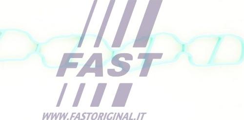 Fast FT49436 - Guarnizione, Collettore aspirazione autozon.pro