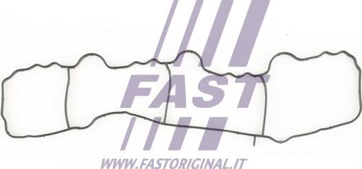 Fast FT49430 - Guarnizione, Collettore aspirazione autozon.pro