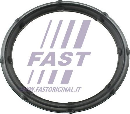 Fast FT49424 - Guarnizione, Collettore aspirazione autozon.pro