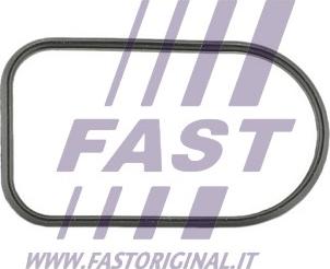 Fast FT49425 - Guarnizione, Collettore aspirazione autozon.pro