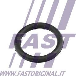 Fast FT49420 - Guarnizione, Collettore aspirazione autozon.pro