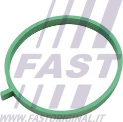 Fast FT49472 - Guarnizione, Collettore aspirazione autozon.pro