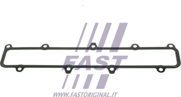 Fast FT49541 - Guarnizione, Collettore aspirazione autozon.pro