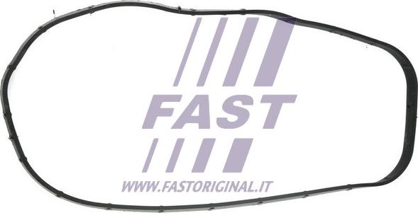 Fast FT49065 - Guarnizione, Carter distribuzione autozon.pro