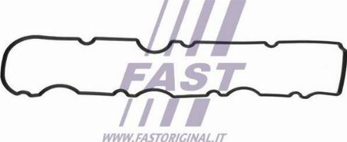 Fast FT49060 - Guarnizione, Copritestata autozon.pro