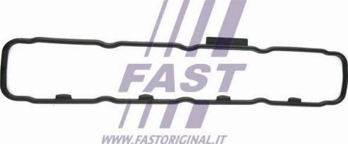 Fast FT49004 - Guarnizione, Copritestata autozon.pro