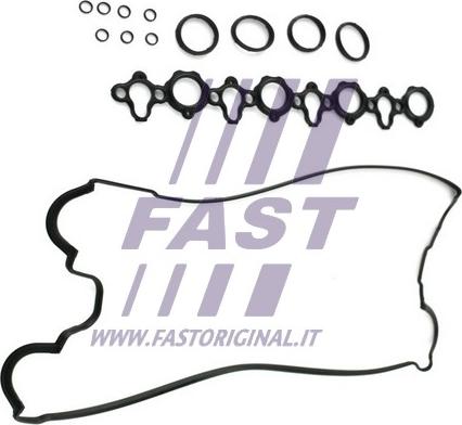 Fast FT49003 - Guarnizione, Copritestata autozon.pro