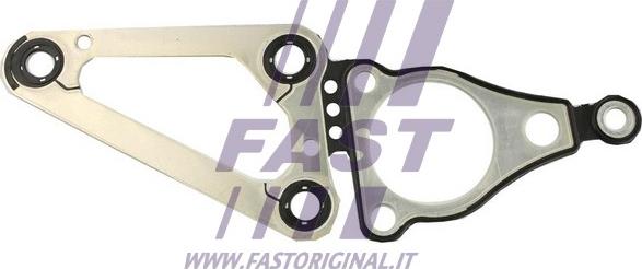 Fast FT49074 - Guarnizione, Carter distribuzione autozon.pro