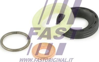 Fast FT49842 - Kit guarnizioni, Iniettore autozon.pro