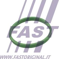 Fast FT49855 - Anello di tenuta, vite di scarico olio autozon.pro