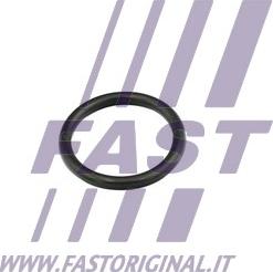 Fast FT49856 - Guarnizione, Flangia refrigerante autozon.pro