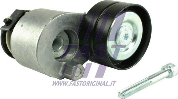 Fast FT44616 - Galoppino / Guidacinghia, Cinghia Poly-V autozon.pro