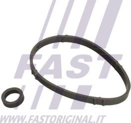 Fast FT48952 - Guarnizione, Radiatore olio autozon.pro