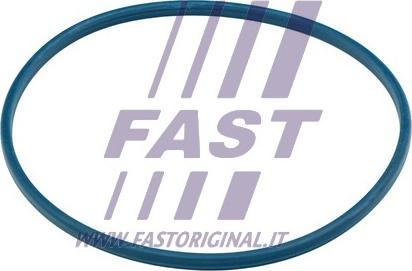 Fast FT48504 - Guarnizione, Bocchettone riempim. carburante autozon.pro