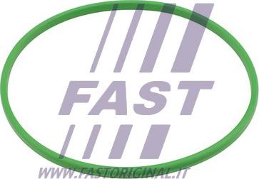 Fast FT48503 - Guarnizione, Pompa carburante autozon.pro