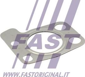 Fast FT48804 - Guarnizione, Collettore gas scarico autozon.pro