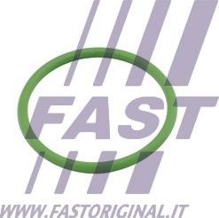 Fast FT48803 - Guarnizione, Immissione turbina (Compressore) autozon.pro