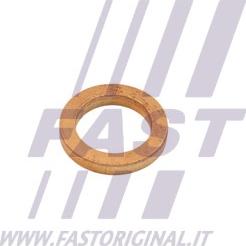 Fast FT48802 - Guarnizione, Immissione turbina (Compressore) autozon.pro