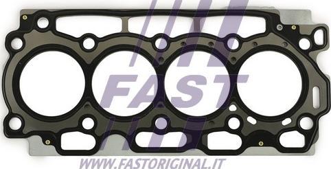 Fast FT48761 - Guarnizione, Testata autozon.pro