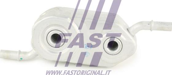 Fast FT55402 - Radiatore olio, Olio motore autozon.pro