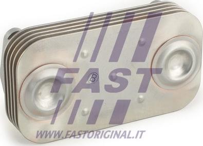 Fast FT55412 - Radiatore olio, Olio motore autozon.pro