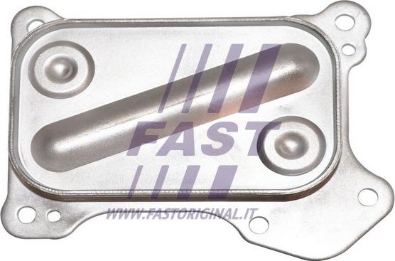 Fast FT55261 - Radiatore olio, Olio motore autozon.pro