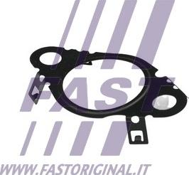 Fast FT50604 - Guarnizione valvola EGR (ricircolo gas scarico) autozon.pro