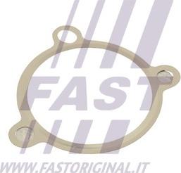 Fast FT50605 - Guarnizione valvola EGR (ricircolo gas scarico) autozon.pro