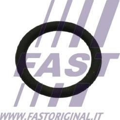 Fast FT50601 - Guarnizione valvola EGR (ricircolo gas scarico) autozon.pro