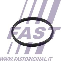 Fast FT50602 - Guarnizione valvola EGR (ricircolo gas scarico) autozon.pro