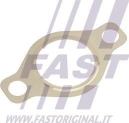 Fast FT50618 - Guarnizione valvola EGR (ricircolo gas scarico) autozon.pro