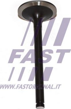 Fast FT50013 - Valvola di aspirazione autozon.pro