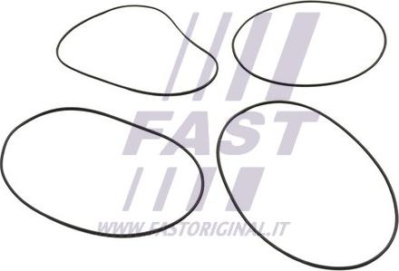 Fast FT50751 - Kit guarnizioni, Canna cilindro autozon.pro