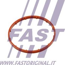 Fast FT50701 - Guarnizione, Pompa depressione autozon.pro