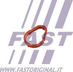 Fast FT50702 - Guarnizione, Pompa depressione autozon.pro